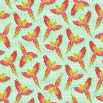 Daydreamer - Macaw You Later Mango