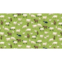 Village Life - Sheep