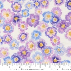 Delphinium - Auricula Snowdrop - PRE-ORDER DUE APRIL