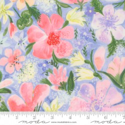 Sweet Cecily - Meadow Hyacinth