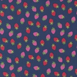 Rainbow Garden - Merry Berry Blueberry