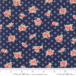 Early Bird - Sweet Navy