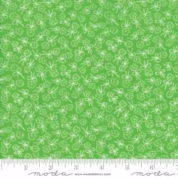 First Romance - Cutie Pie Green Single Stem