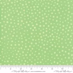 Good Day - Confetti Green