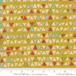 Ninja Cookies - Chartreuse Triangles