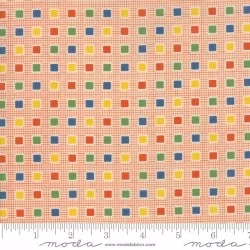 Play All Day - Checks Orange