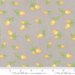 Sundrops - Taupe Rosebuds