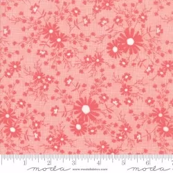 Sunnyside Up - Meadow Strawberry