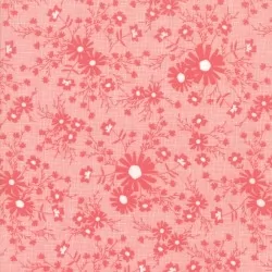 Sunnyside Up - Meadow Strawberry