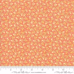 Sunnyside Up - Tiny Buds Coral