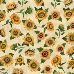 Sunrise Farm - Sunflower Toss Cream