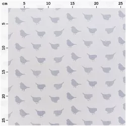 Rico - Grey Birds