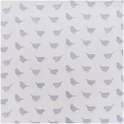 Rico - Grey Birds