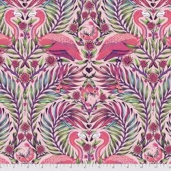 Daydreamer - Pretty in Pink Dragonfruit