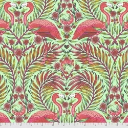 Daydreamer - Pretty in Pink Mango