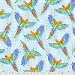 Daydreamer - Macaw You Later Cloud
