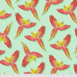 Daydreamer - Macaw You Later Mango