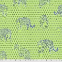 Daydreamer - Lil Jaguars Kiwi