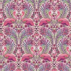 Daydreamer - Pretty in Pink Dragonfruit