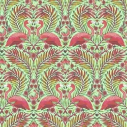 Daydreamer - Pretty in Pink Mango