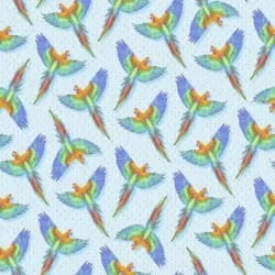 Daydreamer - Macaw You Later Cloud