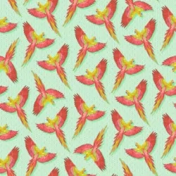 Daydreamer - Macaw You Later Mango