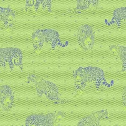 Daydreamer - Lil Jaguars Kiwi