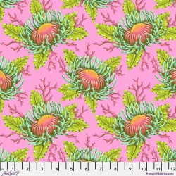 Floral Reef - Friends And Anemones Coralline - PRE-ORDER DUE APRIL