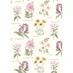 Botanic Garden - Botanic Flowers On Cream