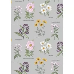 Botanic Garden - Botanic Flowers On Light Grey