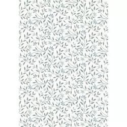The Water Garden by Cassandra Connolly - Wild Harmony Cream