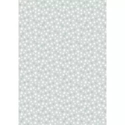 Special Delivery - Stars Grey