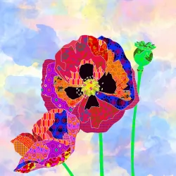 The Flower Collection by Delphine Brooks - Poppy Bright