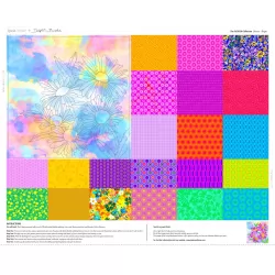 The Flower Collection by Delphine Brooks - Daisies Bright