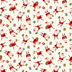 Santa Express - Santa