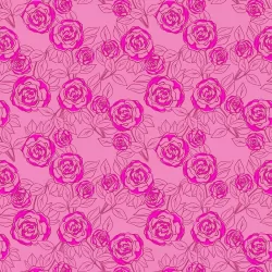 Color Me Pretty - Rose Bloom Rose