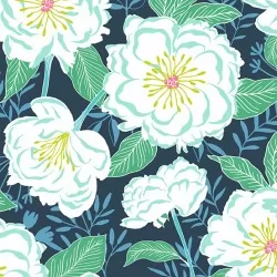 Flora and Fauna - Camellias Shadow
