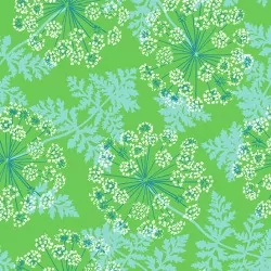 Flora and Fauna - Wild Carrots Grass