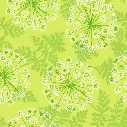 Flora and Fauna - Wild Carrots Lichen