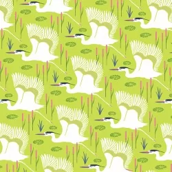 Flora and Fauna - Wetlands Lichen