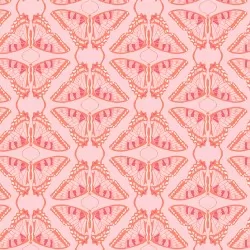 Flora and Fauna - Swallowtail Tonal Blush
