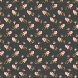 Moonstone - Clover Coal