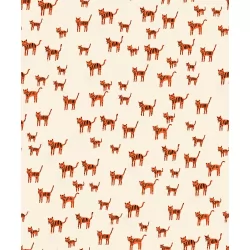 Ruby Star Society - Catnap - Tiger Stripes Orange
