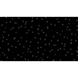 Ruby Star Society - Hole Punch Dot  - Hole Punch Dot Black