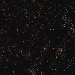 Ruby Star Society - Speckled - Black Metallic