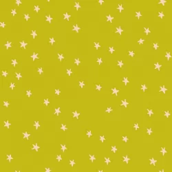 Ruby Star Society - Starry 2023 - Starry Pistachio - 1 Cut FQ