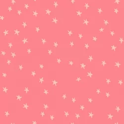 Ruby Star Society - Starry 2025 - Starry Watermelon