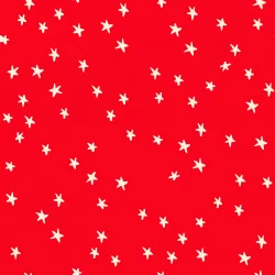 Ruby Star Society - Starry 2025 - Starry Ladybug