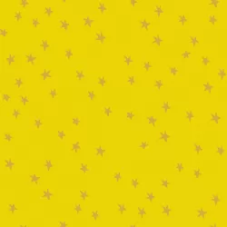 Ruby Star Society - Starry 2025 - Starry Golden Hour
