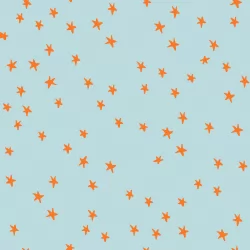 Ruby Star Society - Starry 2025 - Starry Polar